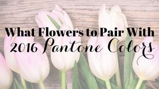 How to Pair Spring Flowers With 2016 Pantone Colors