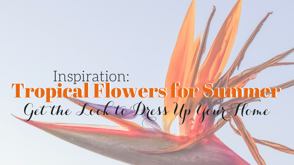 Inspired by the Tropics | Use Tropical Flowers to Spruce Up the Summer Season