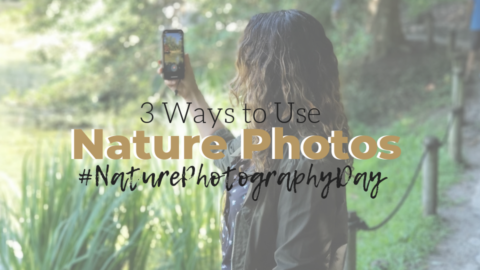 Nature Photography Day: How Incorporate These Images in Your Decor